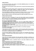 Konspekts 'Darba līgums', 3.