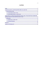 Referāts 'Sabiedrisko attiecību un mārketinga attīstība pēdējo piecu gadu laikā', 2.