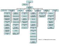 Prakses atskaite 'Prakse a/s "Hansabanka" ', 11.