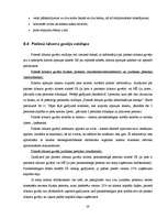 Prakses atskaite 'Prakse a/s "Hansabanka" ', 38.