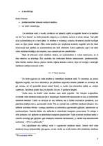 Referāts 'A/s "Aldaris" un "Carlsberg" reklāmas politiku salīdzinājums Latvijas medijos', 9.