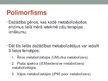 Prezentācija 'Citohroms P450 un tā loma organismā. CYP450 jeb P450', 6.
