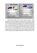 Diplomdarbs 'Māsas un pacientu viedoklis par sadarbību un māsas pienākumiem Rīgas un Latgales', 31.