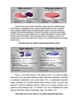 Diplomdarbs 'Māsas un pacientu viedoklis par sadarbību un māsas pienākumiem Rīgas un Latgales', 37.