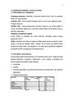 Referāts 'Jaunas uzņēmējdarbības uzsākšanas koncepcija', 4.