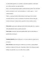 Referāts 'Domāšanas veidi, operācijas un formas. Domāšanas attīstības īpatnības pirmsskolā', 13.