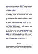 Referāts 'Bālā treponēma', 4.