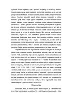 Referāts 'Bālā treponēma', 5.