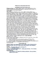 Paraugs 'Apģērbs kā siltuma izolācija', 1.