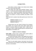 Referāts 'Analoģijas būtība', 4.