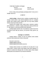 Referāts 'Analoģijas būtība', 5.