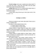 Referāts 'Analoģijas būtība', 10.