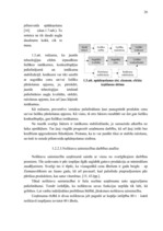 Diplomdarbs 'Jauno tehnoloģiju ieviešanas ekonomiskais pamatojums zemnieku saimniecībā', 28.