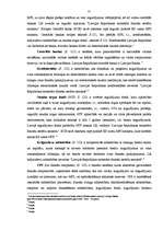 Diplomdarbs 'Banku sistēma Latvijā', 31.