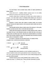 Referāts 'Valsts funkcijas jēdziens, klasifikācija un realizācija', 10.