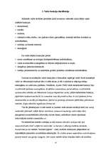 Referāts 'Valsts funkcijas jēdziens, klasifikācija un realizācija', 14.