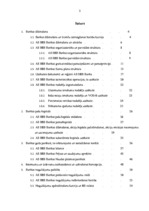 Prakses atskaite 'Prakses atskaite a/s "SEB Banka"', 2.