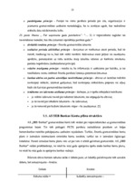 Prakses atskaite 'Prakses atskaite a/s "SEB Banka"', 13.