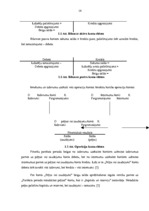 Prakses atskaite 'Prakses atskaite a/s "SEB Banka"', 14.