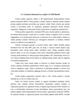 Prakses atskaite 'Prakses atskaite a/s "SEB Banka"', 17.