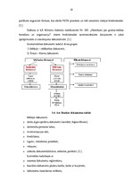 Prakses atskaite 'Prakses atskaite a/s "SEB Banka"', 18.