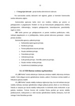 Prakses atskaite 'Prakses atskaite a/s "SEB Banka"', 22.