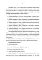 Prakses atskaite 'Prakses atskaite a/s "SEB Banka"', 28.