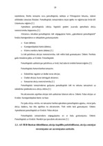 Prakses atskaite 'Prakses atskaite a/s "SEB Banka"', 29.