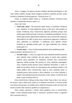 Prakses atskaite 'Prakses atskaite a/s "SEB Banka"', 30.