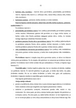 Prakses atskaite 'Prakses atskaite a/s "SEB Banka"', 32.