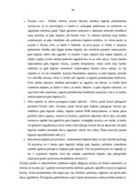 Prakses atskaite 'Prakses atskaite a/s "SEB Banka"', 36.