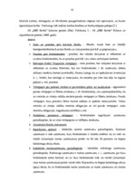 Prakses atskaite 'Prakses atskaite a/s "SEB Banka"', 41.