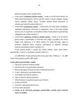 Prakses atskaite 'Prakses atskaite a/s "SEB Banka"', 48.