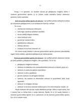 Prakses atskaite 'Prakses atskaite a/s "SEB Banka"', 51.