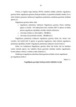 Prakses atskaite 'Prakses atskaite a/s "SEB Banka"', 58.