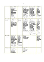 Prakses atskaite 'Prakses atskaite a/s "SEB Banka"', 76.