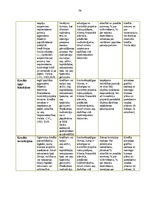 Prakses atskaite 'Prakses atskaite a/s "SEB Banka"', 79.