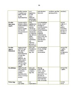 Prakses atskaite 'Prakses atskaite a/s "SEB Banka"', 80.