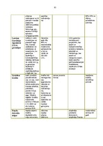 Prakses atskaite 'Prakses atskaite a/s "SEB Banka"', 81.