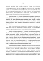 Prakses atskaite 'Prakses atskaite a/s "SEB Banka"', 103.