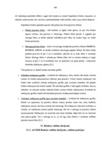 Prakses atskaite 'Prakses atskaite a/s "SEB Banka"', 104.