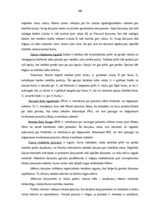 Prakses atskaite 'Prakses atskaite a/s "SEB Banka"', 106.