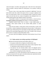 Prakses atskaite 'Prakses atskaite a/s "SEB Banka"', 107.