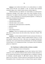 Prakses atskaite 'Prakses atskaite a/s "SEB Banka"', 130.