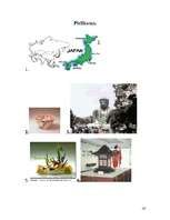 Referāts 'Japānas māksla un vēsture', 16.