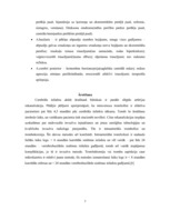 Referāts 'Cerebrālā išēmija (insults) un profilakse', 7.