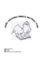Konspekts 'Skolēnu sagatavošana domraksta rakstīšanai stundā', 1.