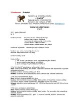 Paraugs 'Atsevišķu dokumentu veidu izstrādāšana un noformēšana', 15.