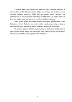 Biznesa plāns 'Pakalpojumi izklaides sfērā SIA "Chick Jazz"', 2.