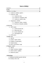 Biznesa plāns 'Pakalpojumi izklaides sfērā SIA "Chick Jazz"', 4.